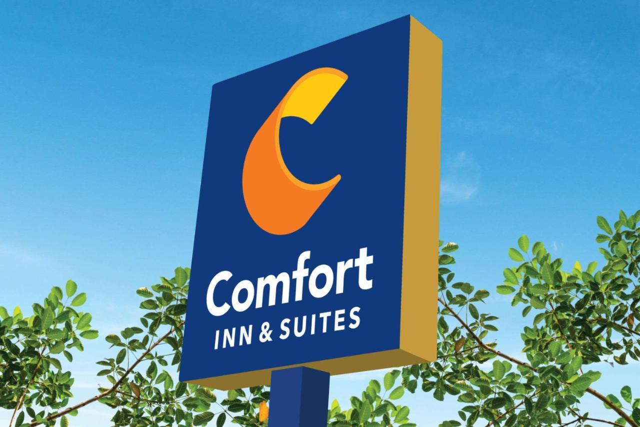 Comfort Inn & Suites Texas City Extérieur photo